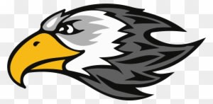 Image Freeuse Falcon Mascot Clipart - Vector Graphics - Transparent PNG Free Download