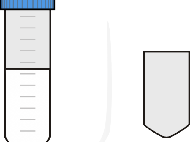 Falcon Clipart Svg - Falcon Clipart Svg - Transparent PNG Free Download