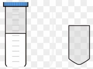 Falcon Clipart Svg - Falcon Clipart Svg - Transparent PNG Free Download