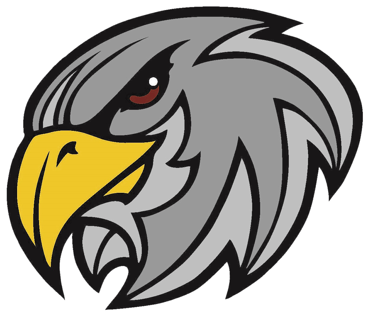 Yeshivah Of Flatbush Falcons - Yeshivah Of Flatbush Falcons - Transparent PNG Free Download