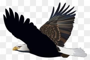 Flying Falcon Cartoon - Burung Elang Png - Transparent PNG Free Download