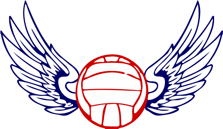 Volleyball Wings Falcon Logo, Volleyball, Wings, Ali - Volleyball Logo With Wings Png - Transparent PNG Free Download