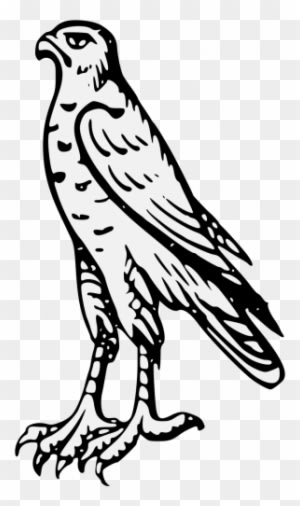 Peregrine Falcon Coloring Heraldic - Hawk - Transparent PNG Free Download