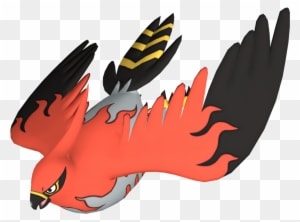 Peregrine Falcon, Peregrine - Illustration - Transparent PNG Free Download