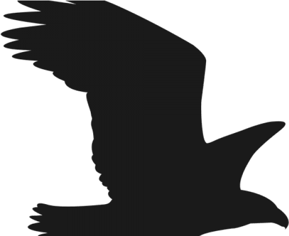 Falcon Clipart Svg - Сокол Силуэт - Transparent PNG Free Download