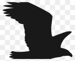 Falcon Clipart Svg - Сокол Силуэт - Transparent PNG Free Download