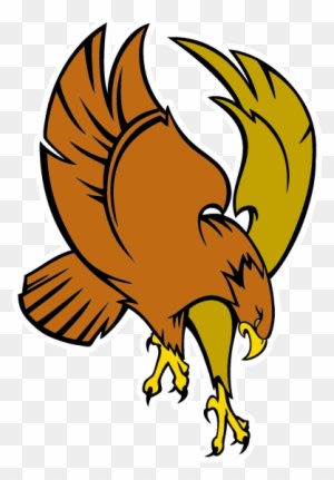 Falcon - Illustration - Transparent PNG Free Download