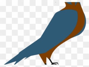 Peregrine Falcon Clipart Vector - Parrot - Transparent PNG Free Download