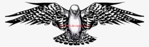 Falcon Tattoo - Transparent PNG Free Download