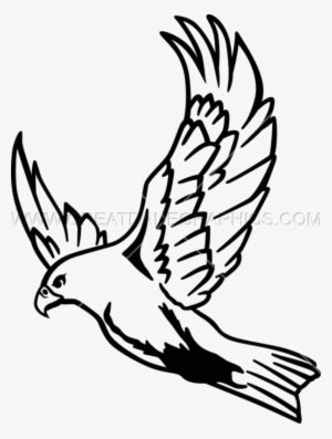 Flying Hawk Drawing At Getdrawings - Falcon Drawing - Transparent PNG Free Download