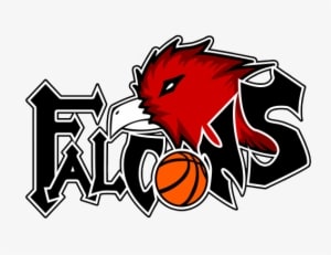 Falcons Basketball Logo - Transparent PNG Free Download