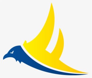 Please Do Not Hesitate To Contact Me With Your Questions, - Franklin Falcons - Transparent PNG Free Download