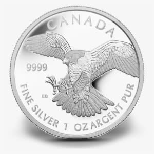 Peregrine Falcon Coin - Transparent PNG Free Download