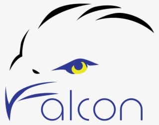 Team - Falcon Eye Logo - Transparent PNG Free Download