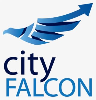 City Falcon Final Logo Sqaure - Poster - Transparent PNG Free Download