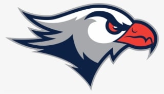 Lackawanna College Unveils New Athletics Logo - Lackawanna Falcons - Transparent PNG Free Download