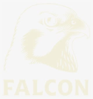 1 Falcon Logo - Hawk - Transparent PNG Free Download