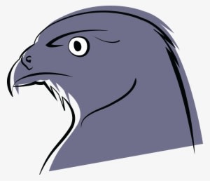 Falcon Head Drawing At Getdrawings - Stock.xchng - Transparent PNG Free Download