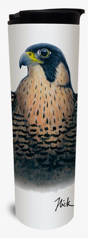 Peregrine Falcon Tumbler - Watermark - Transparent PNG Free Download