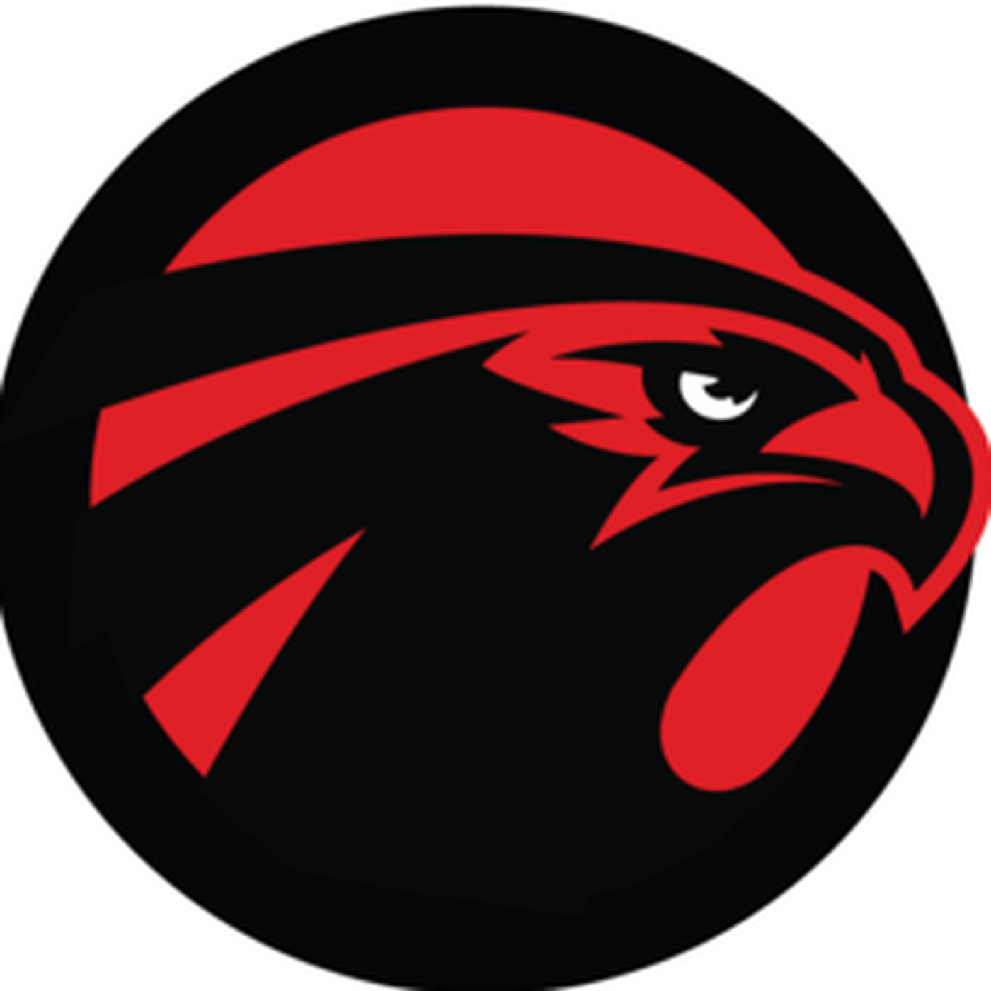 Atlanta Falcons Facts - Sb Nation Falcoholic - Transparent PNG Free Download