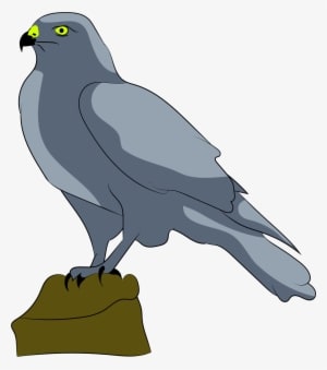 This Free Icons Png Design Of Perched Falcon - Transparent PNG Free Download