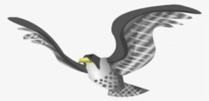 Illustration Of A Falcon - Bald Eagle - Transparent PNG Free Download