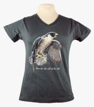 Peregrine Falcon - Shirt - Transparent PNG Free Download