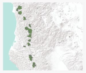Northern California Peregrine Falcon Habitat - United States Of America - Transparent PNG Free Download