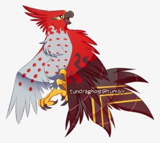 Another Old One From 2016 This Time It's A Talonflame - Parrot - Transparent PNG Free Download