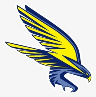 Falcon - Spring Woods Middle School - Transparent PNG Free Download