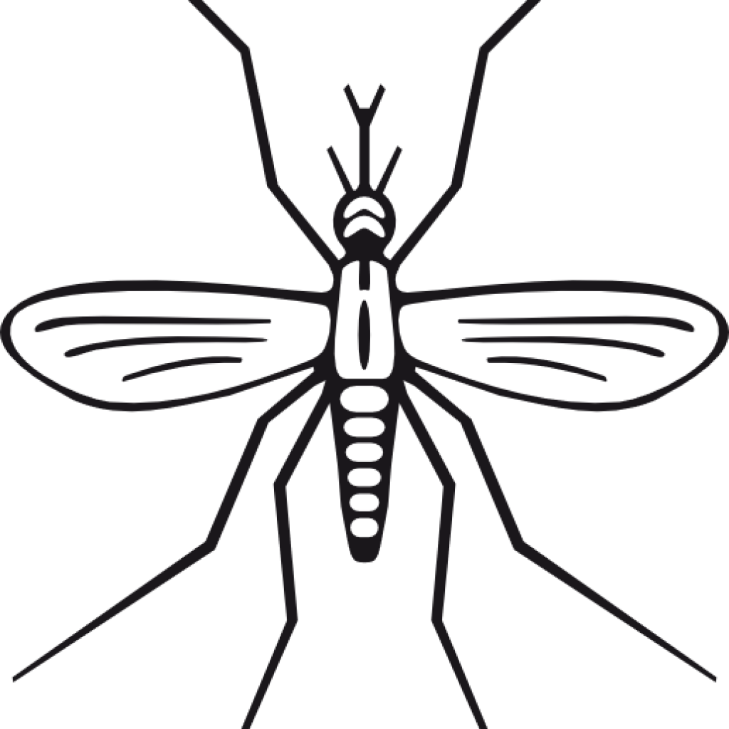 Mosquito Clipart Clip Art At Clker Vector Online Royalty - Mosquito Clip Art - Transparent PNG Free Download