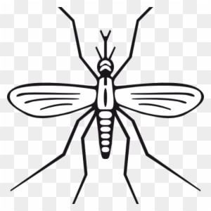 Mosquito Clipart Clip Art At Clker Vector Online Royalty - Mosquito Clip Art - Transparent PNG Free Download