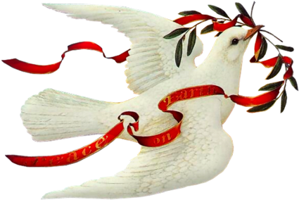 Tubes Paysages / Mystiques Mystique, Christmas Clipart, - White Christmas Dove - Transparent PNG Free Download