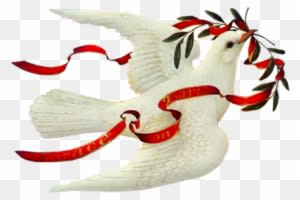 Tubes Paysages / Mystiques Mystique, Christmas Clipart, - White Christmas Dove - Transparent PNG Free Download