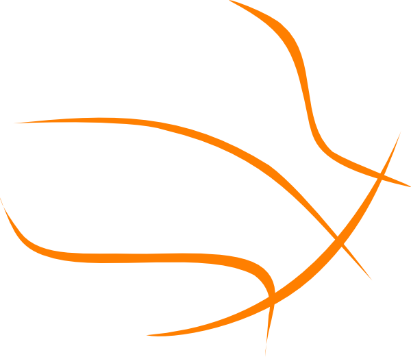 Basketball Transparent Outline Clip Art Black And White Basketball Outline Free Transparent PNG Clipart Images Download. - Transparent PNG Free Download