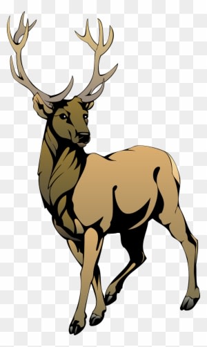 Stag Clipart Animal - Duke Blue Devils Men's Basketball - Free Transparent PNG Clipart Images Download. ClipartMax.com - Transparent PNG Free Download