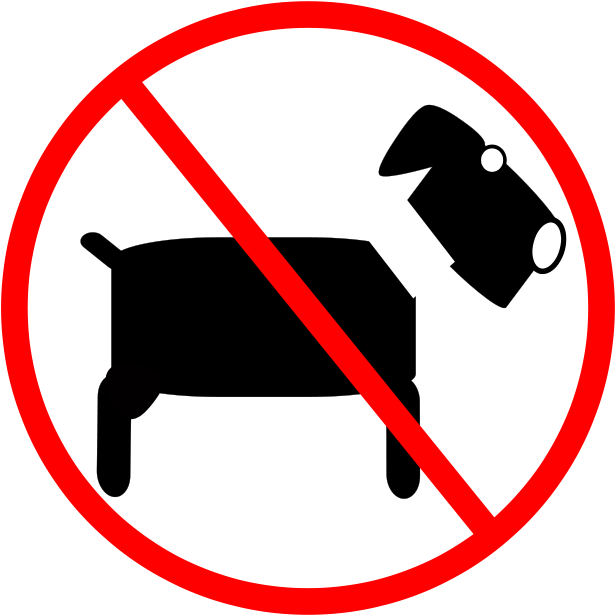 No Pets, No Animals Basketball Clipart Black And White Free Transparent PNG Clipart Images Download. - Transparent PNG Free Download