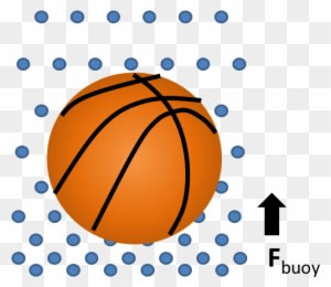 Buoy Ball - Buoyant Force Basketball - Free Transparent PNG Clipart Images Download. ClipartMax.com - Transparent PNG Free Download