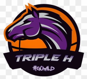 Triple H Basketball Basketball Free Transparent PNG Clipart Images Download - Basketball Transparent PNG Free Download