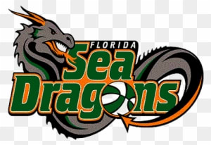 Can't Forget Seeing This Irl As The Usbl's Florida - Basketball Team Logos Transparent - Free Transparent PNG Clipart Images Download. ClipartMax.com - Transparent PNG Free Download