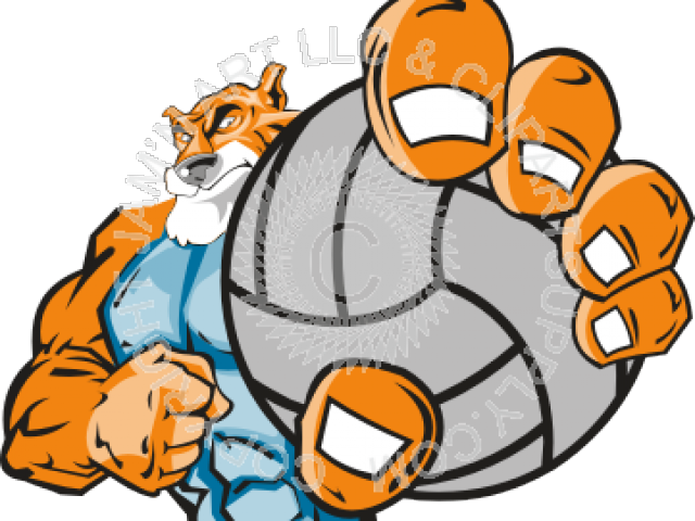 Volleyball Clipart Orange - Kangaroo Holding Basketball - Free Transparent PNG Clipart Images Download. ClipartMax.com - Transparent PNG Free Download