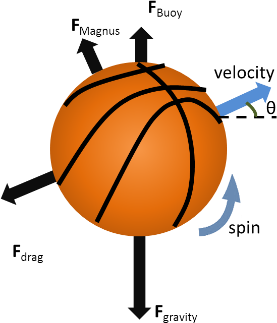 The Four Forces That Act On A Basketball In Flight - Forces Acting On A Ball - Free Transparent PNG Clipart Images Download. ClipartMax.com - Transparent PNG Free Download