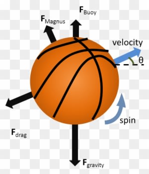 The Four Forces That Act On A Basketball In Flight - Forces Acting On A Ball - Free Transparent PNG Clipart Images Download. ClipartMax.com - Transparent PNG Free Download