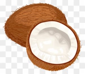 Coconut Curry Clipart Rh Worldartsme Com Basketball - Coconut Oil Miracle: 30+ Coconut Oil Recipes Coconut - Free Transparent PNG Clipart Images Download. ClipartMax.com - Transparent PNG Free Download