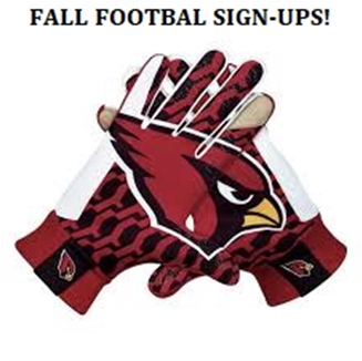 Baseball - Nfl Arizona Cardinals Metal Ice Bucket - Free Transparent PNG Clipart Images Download. ClipartMax.com - Transparent PNG Free Download