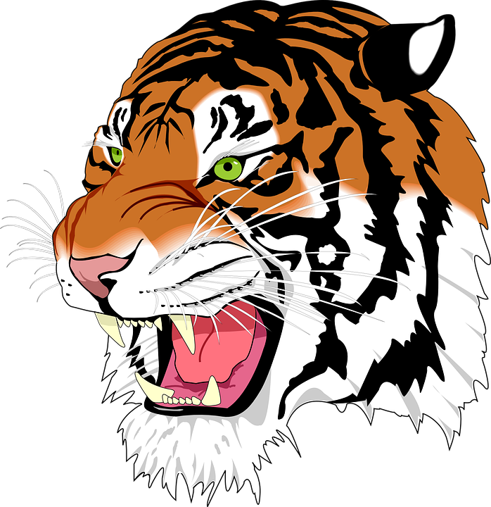 Wildcat Basketball Cliparts 12, Buy Clip Art - Svg Image Example - Free Transparent PNG Clipart Images Download. ClipartMax.com - Transparent PNG Free Download