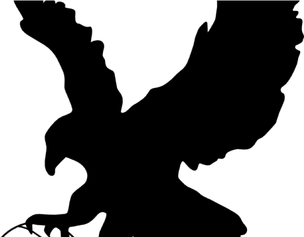 Eagle Clipart Basketball - Eagle Clip Art - Free Transparent PNG Clipart Images Download. ClipartMax.com - Transparent PNG Free Download