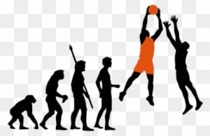 Evolution Basketball Dg0087bbal - Volleyball Evolution - Free Transparent PNG Clipart Images Download. ClipartMax.com - Transparent PNG Free Download