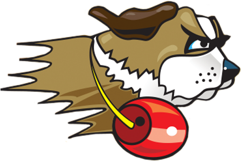 Veteran Head Coach Steve Brooks Takes Over Women's - University Of St. Francis - Free Transparent PNG Clipart Images Download. ClipartMax.com - Transparent PNG Free Download