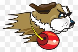 Veteran Head Coach Steve Brooks Takes Over Women's - University Of St. Francis - Free Transparent PNG Clipart Images Download. ClipartMax.com - Transparent PNG Free Download